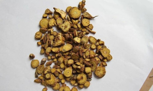 金银花茶和决明子的功效与作用-金银花决明子泡水什么功效网—知名的金银花决明子组合茶网站,分享金银花决明子组合茶知识