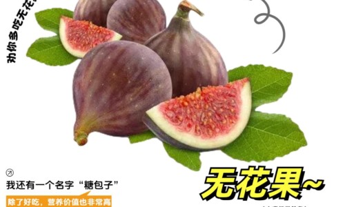 金银花决明子泡水的功效-金银花决明子泡水什么功效网—知名的金银花决明子组合茶网站,分享金银花决明子组合茶知识