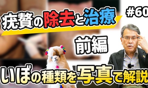 金银花茶和决明子的功效与作用-金银花决明子泡水什么功效网—知名的金银花决明子组合茶网站,分享金银花决明子组合茶知识